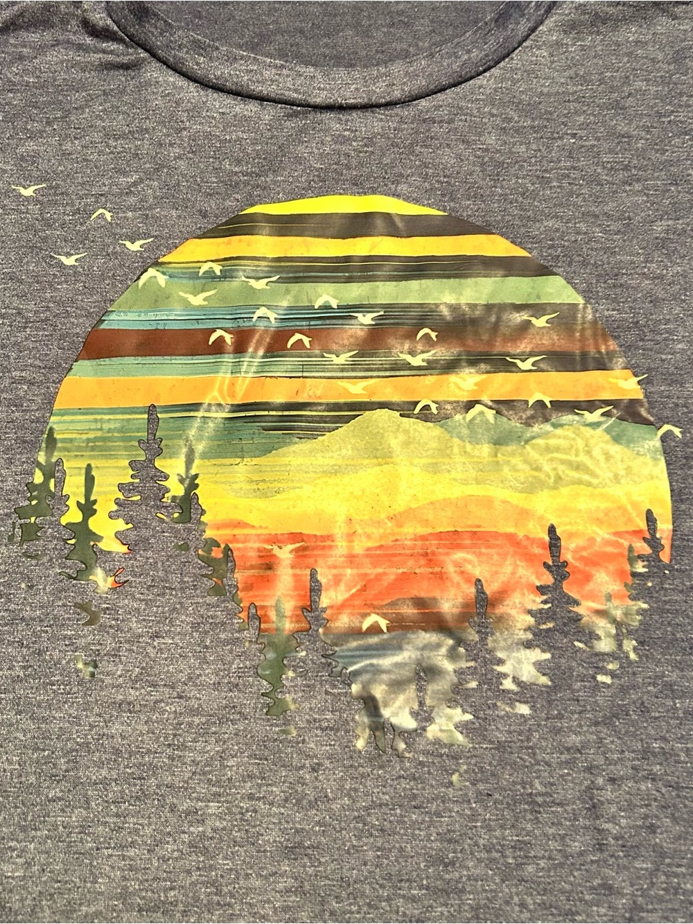 New never worn Sun, Mountains & Birds Graphic T-Shirt, Heather, Size L 8/10